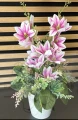 Różowa Magnolia - elegancka dekoracja kwiatowa w doniczce