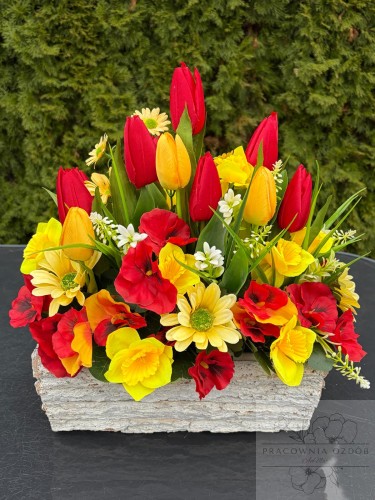 Stroik w ozdobnej donicy "Kolory Słońca"