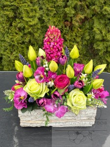 Stroik w ozdobnej donicy w seledynie i fuksji