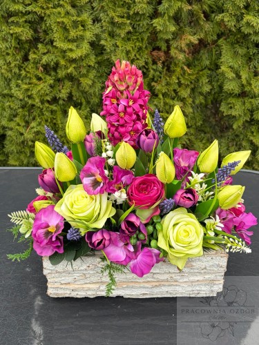 Stroik w ozdobnej donicy w seledynie i fuksji